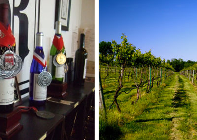 Röbller Vineyard