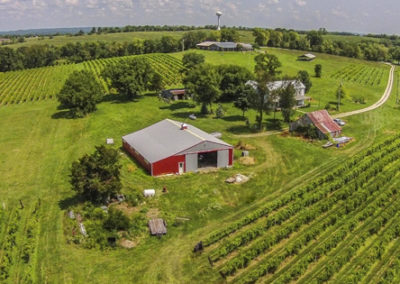 Röbller Vineyard